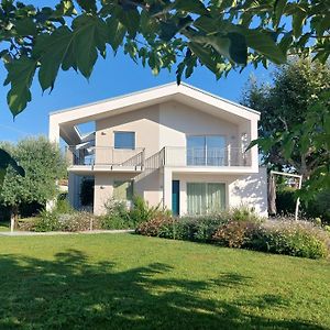 Slowersilia Bed And Breakfast